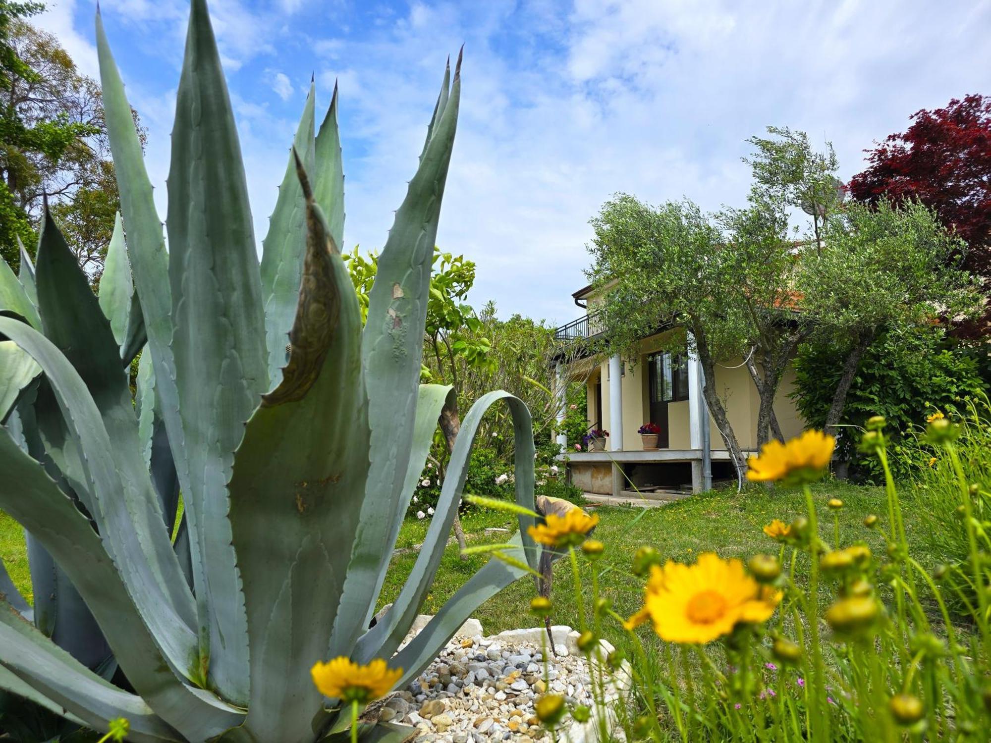 Keser Apartments Rovinj Exterior foto