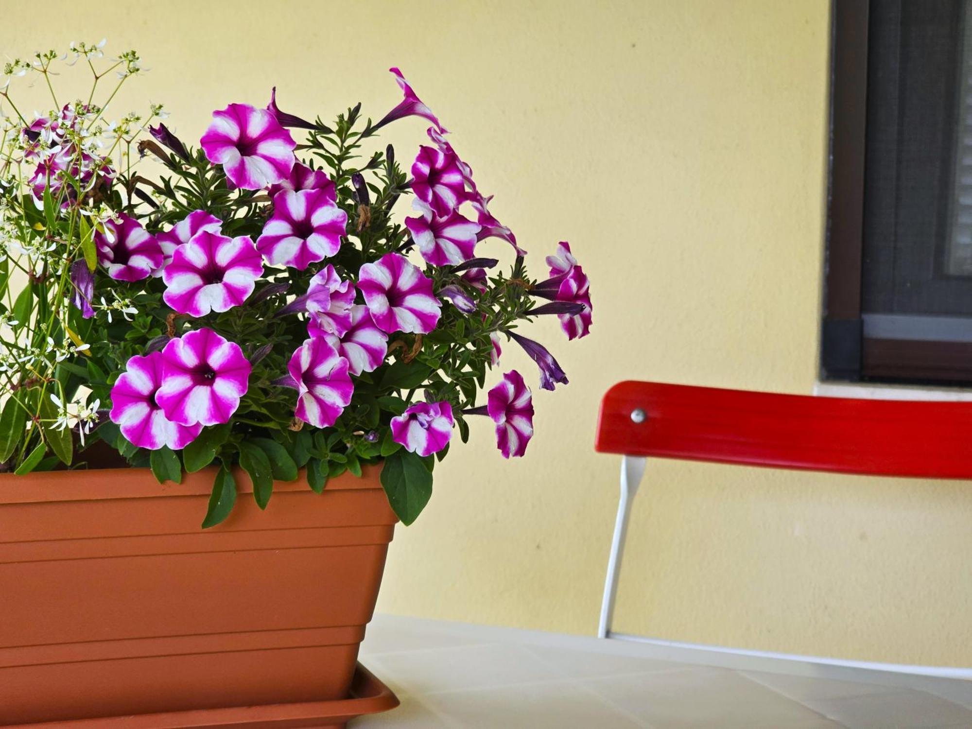 Keser Apartments Rovinj Exterior foto
